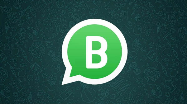 WhatsApp Business - ¿Qué es?