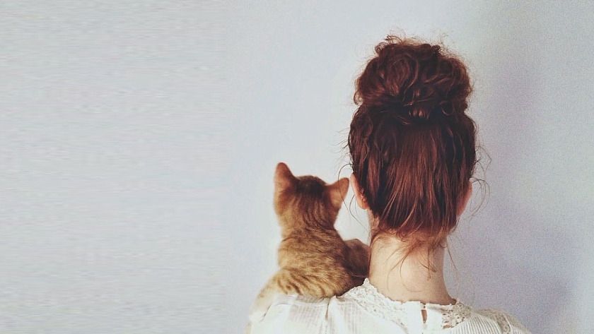 gatos_influencers