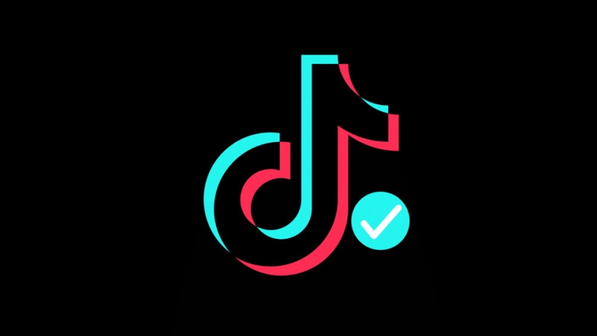 Cómo verificar tu cuenta de TikTok